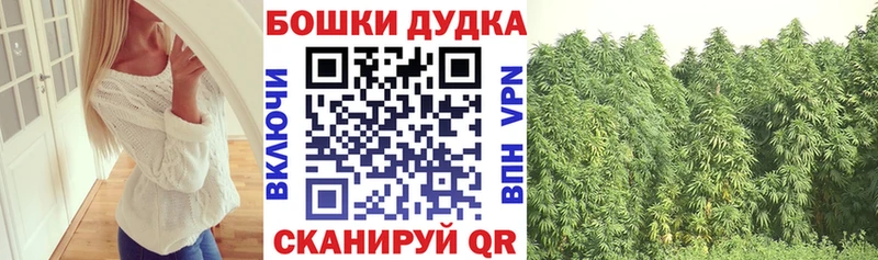 Купить закладку Амфетамин  Меф  Псилоцибиновые грибы  Alpha-PVP  Кокаин  Каргополь
