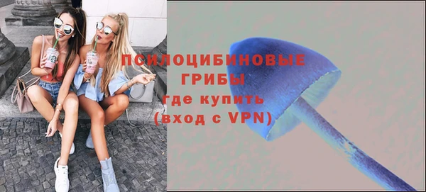 гидропоника Елизово