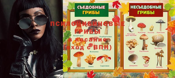 мдма Ельня