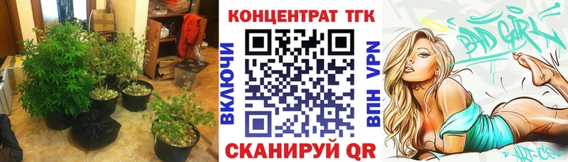 ТГК концентрат  Купить где  Каргополь 