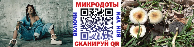 Псилоцибиновые грибы Cubensis  Купить  Каргополь 
